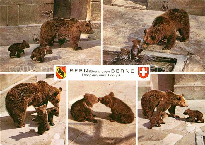 Baeren Bern Bärengraben