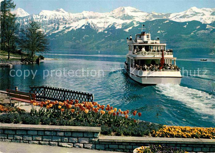 Motorschiffe Thunersee Moench Jungfrau Schwalmern Latreyenfirst