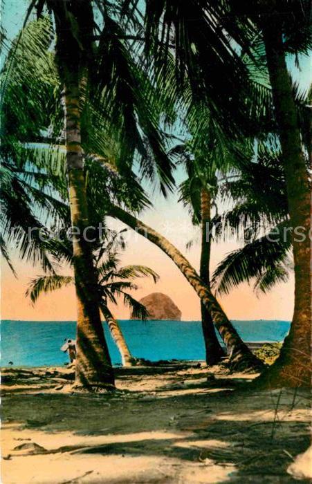 Rocher du Diamant vu a travers les cocotiers Diamantfelsen Kokospalmen