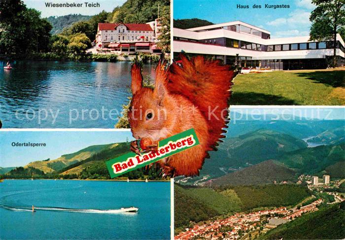 Bad Lauterberg Wiesenbeker Teich Haus des Kurgastes Odertalsperre Eichhoernchen