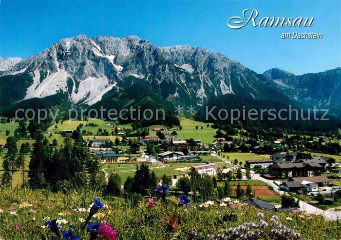Ramsau Dachstein Steiermark Panorama Hoher Dachstein Alpenpanorama Alpenflora