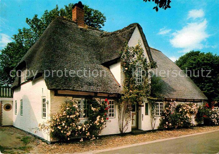 Nieblum Das Rosenhaus