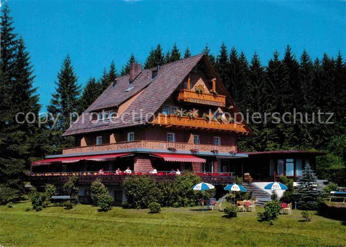 Saig Schwarzwald Cafe Alpenblick Pension