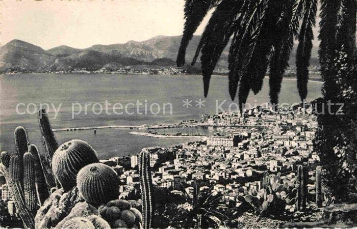 Cannes Alpes-Maritimes Vue generale sur l'Esterel Cote d Azur