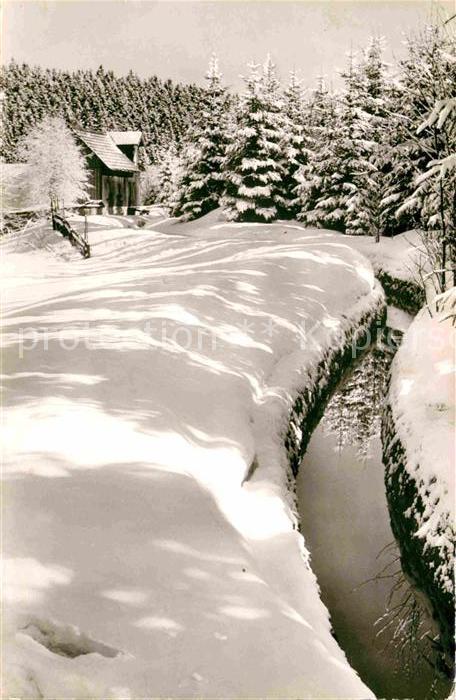 Hahnenklee-Bockswiese Harz Grabenweg in Bockswiese Winterpanorama