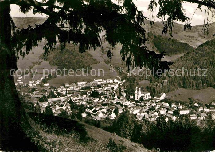 Todtnau Panorama Schwarzwald