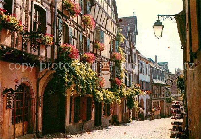 Riquewihr Haut Rhin Vieilles maisons fleuries Fachwerkhaeuser