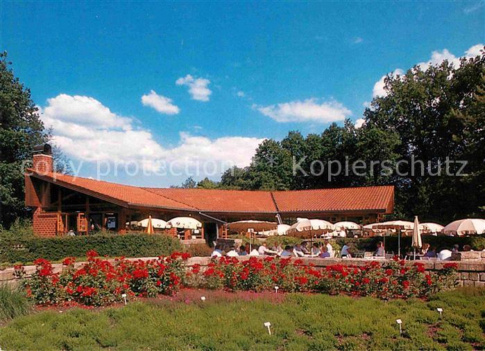 BREMEN  CITY Rhododendron Cafe Restaurant Blumenbeet