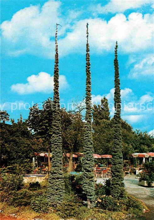 BREMEN CITY Cafe Subtropia Pflanzen