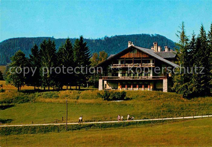 Mariazell Steiermark Hotel Alpenhof