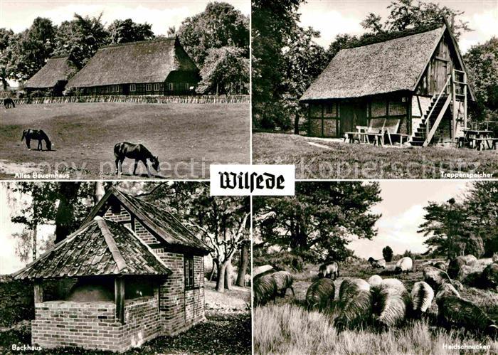 Wilsede Lueneburger Heide Altes Bauernhaus Pferde Treppenspeicher Heidschnucken