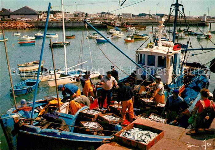 Presqu Ile de Quiberon Debarquement des sardiniers a Port Maria