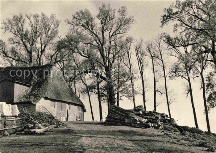 Haseldorf Haseldorfer Marsch an der Elbe