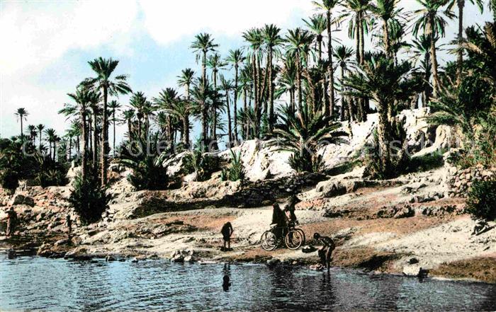 Colomb-Bechar Oued et Palmiers