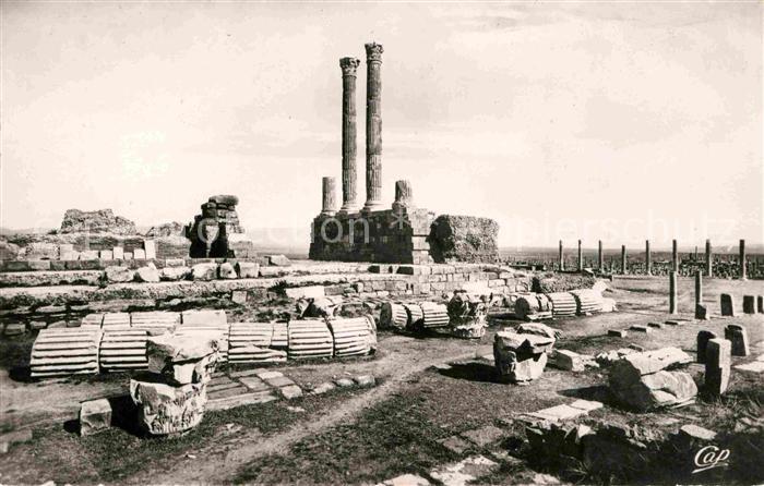 Timgad Colonnes du Pronaos du Capitole