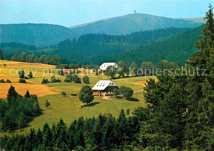 Hinterzarten Breisgau-Hochschwarzwald BW Hoehenluftkurort Wintersportplatz Feldb