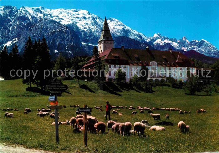 Elmau Schloss mit Wettersteingebirge Schafherde