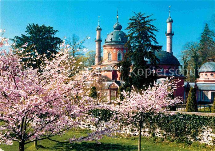 Schwetzingen Schlossgarten Moschee Baumbluete