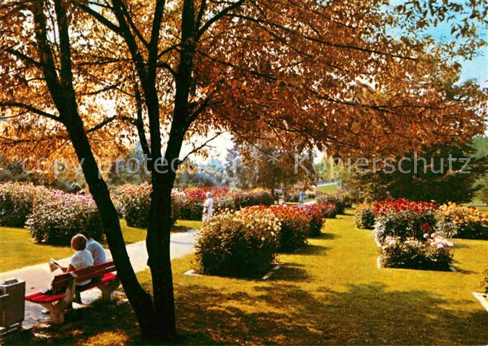 Bad Krozingen Kurpark Promenade