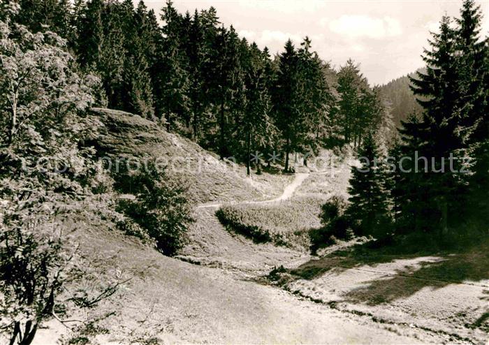 Fehrenbach Thueringer Wald Waldpartie Fehrenbacher Schweiz