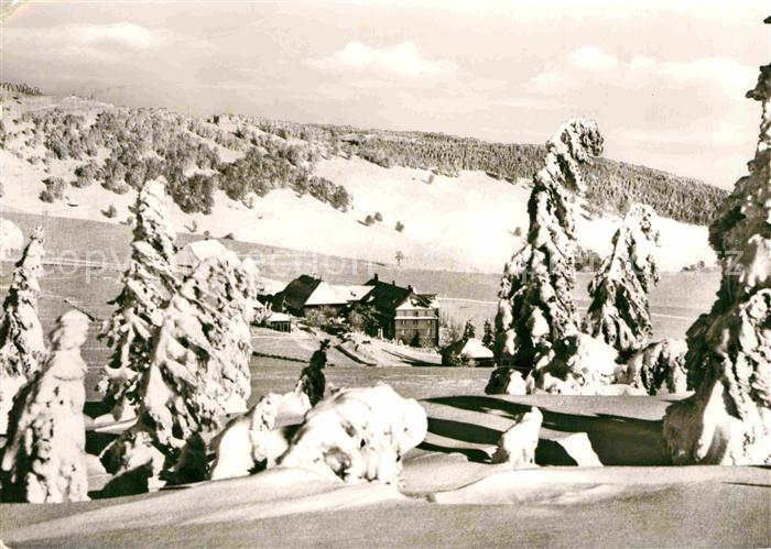 Schauinsland Hotel Haldenhof Winterpanorama Schwarzwald