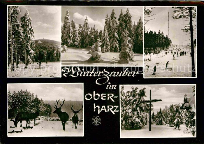 GOSLAR Harz Niedersachsen Winterzauber im Oberharz