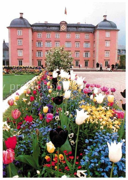 Schwetzingen Schloss im Fruehlingsschmuck