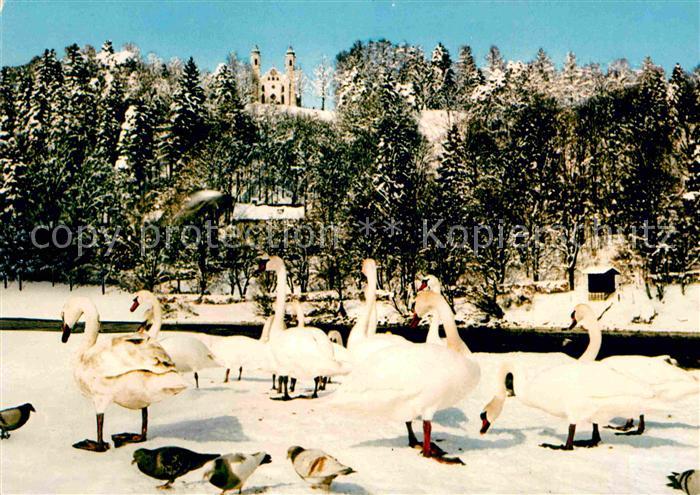 Bad Toelz Blick zum Kalvarienberg Schwaene im Winter