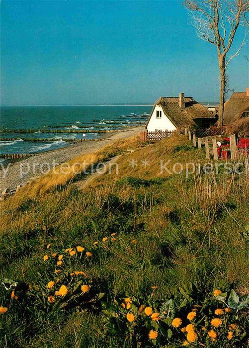 Ahrenshoop Ostseebad Haeuser am Strand