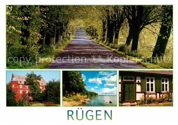 Insel Ruegen Baumallee Kueste Strand Schloss