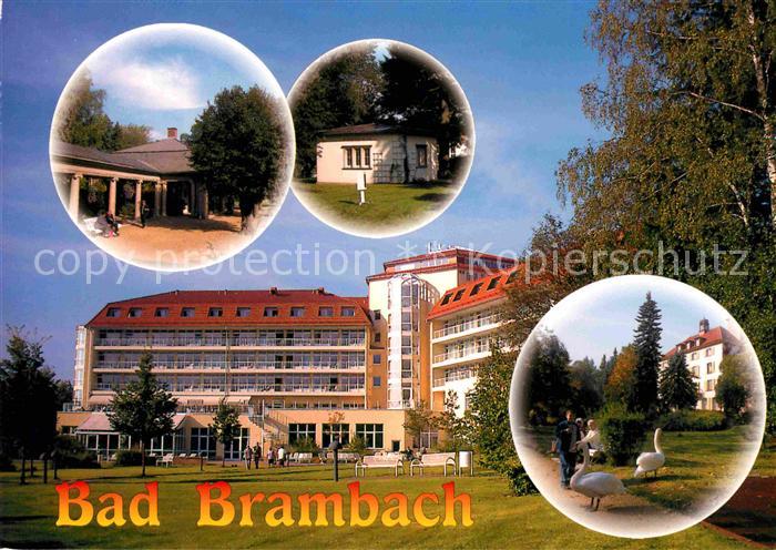 Bad Brambach Klinik Wettinquelle Wiesenquelle Kurpark Schwaene