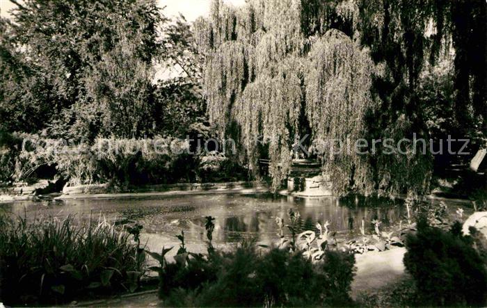 Frankenhausen Bad Solbad Botanischer Garten