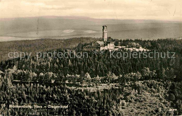 Blankenburg Harz Fliegeraufnahme mit Ziegenkopf