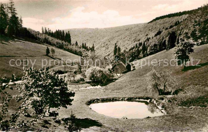 Frauenwald Thueringen Fraubachmuehle