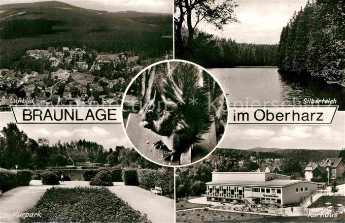 Braunlage Harz Fliegeraufnahme Silberteich Kurhaus Kurpark