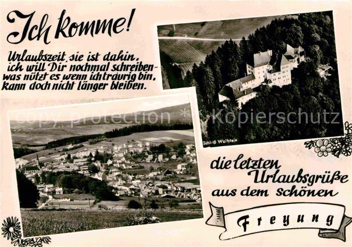 Freyung Fliegeraufnahme Schloss Wolfstein