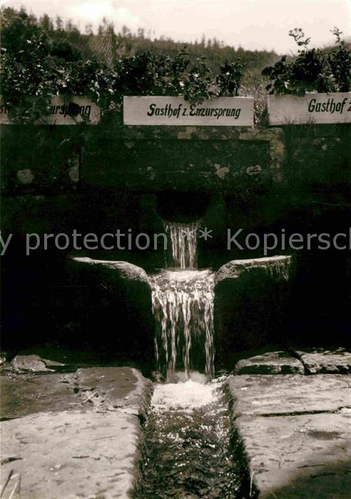 Enzkloesterle bei Wildbad Gompelscheuer