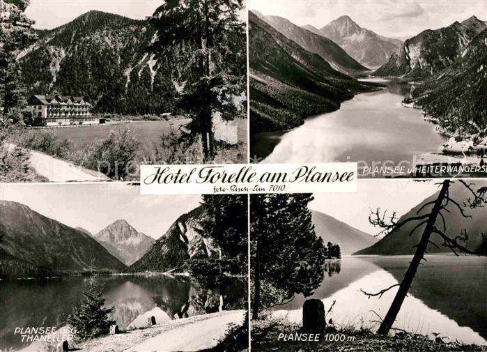 Plansee Hotel Forelle
