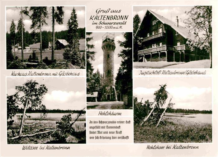 Kaltenbronn Gernsbach Jagdschloss Kurhaus Wildsee Hohlohsee Hohlohturm