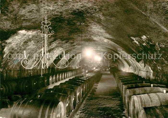 Johannisberg Rheingau Fuerst Metternich-Winneburgsche Domaene Sekt-Keller