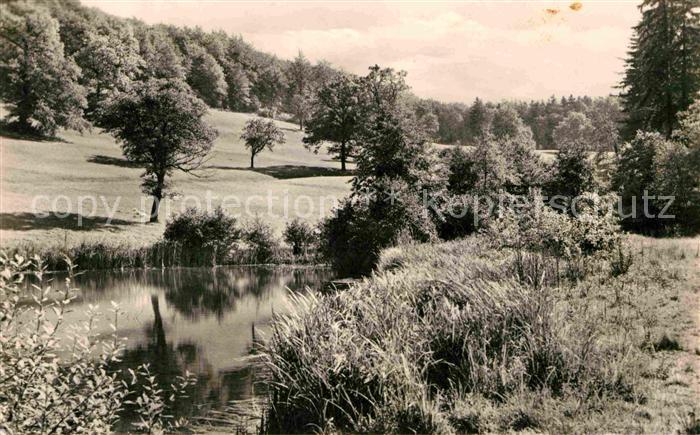 Waltershausen Gotha Kraeuterwiese