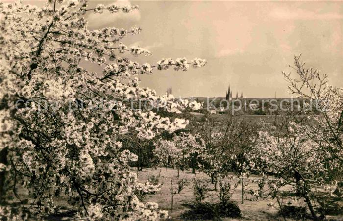 Werder Havel Blick von Wachtelburg