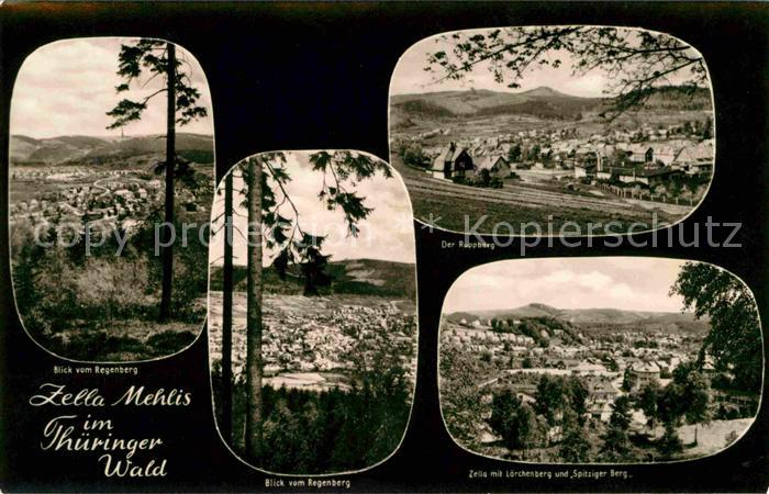 Zella-Mehlis Blick vom Regenberg Lorchenberg
