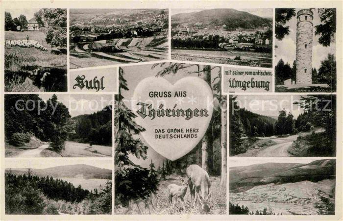 Suhl Thueringer Wald und Umgebung Turm Schafe  Wild