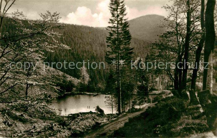 Oberhof Thueringen Pfanntalsteich