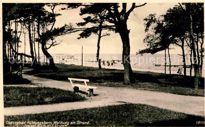 Kuehlungsborn Ostseebad Parkanlage am Strand