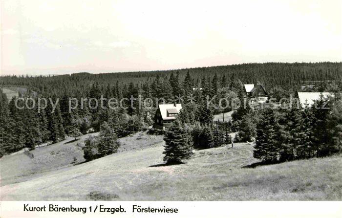 Baerenburg Sachsen Foersterwiese