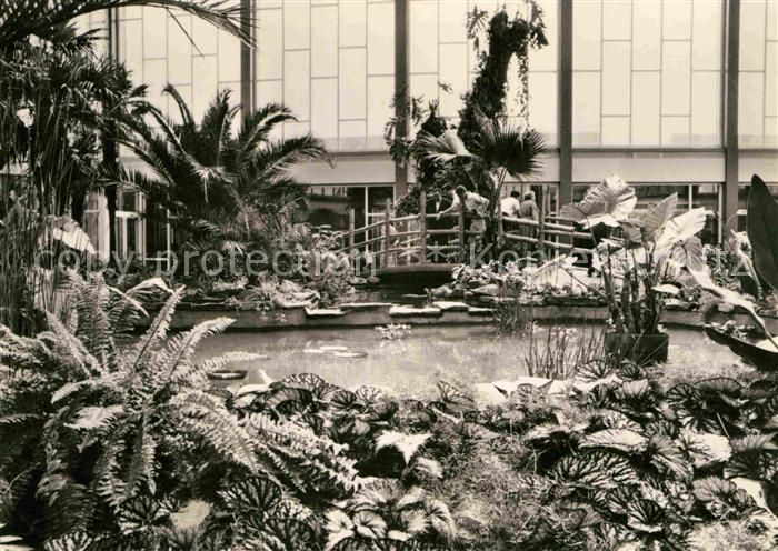 BERLIN CITY Tierpark Tropenhalle im Alfred Brehm Haus