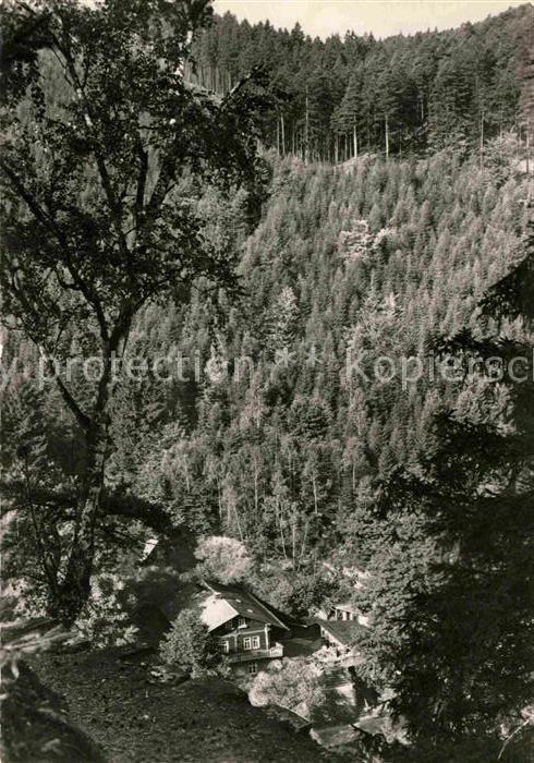Schwarzatal Blick vom Duerre Schild
