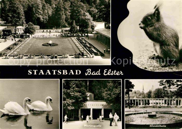 Bad Elster Staatsbad Marienquelle Wandelhalle Kurpark Eichhoernchen Schwaene